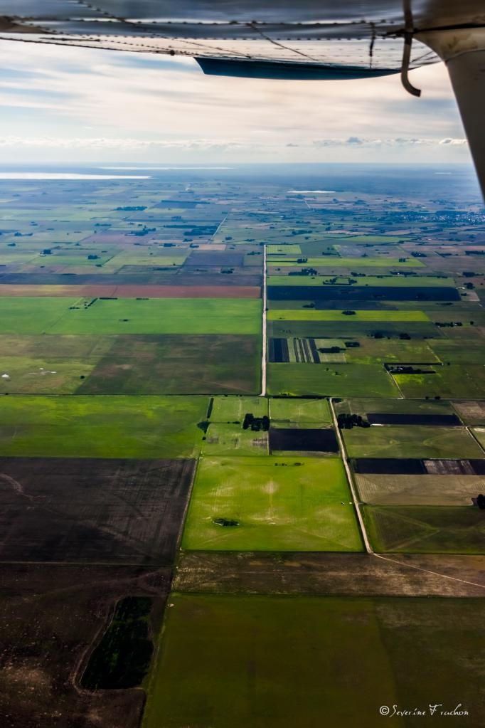 Culture géométrique, Argentine