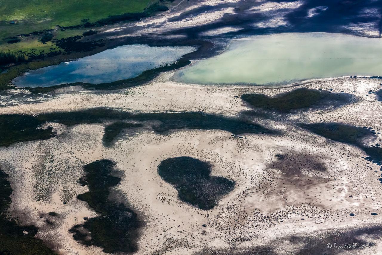 Reflets, Argentine