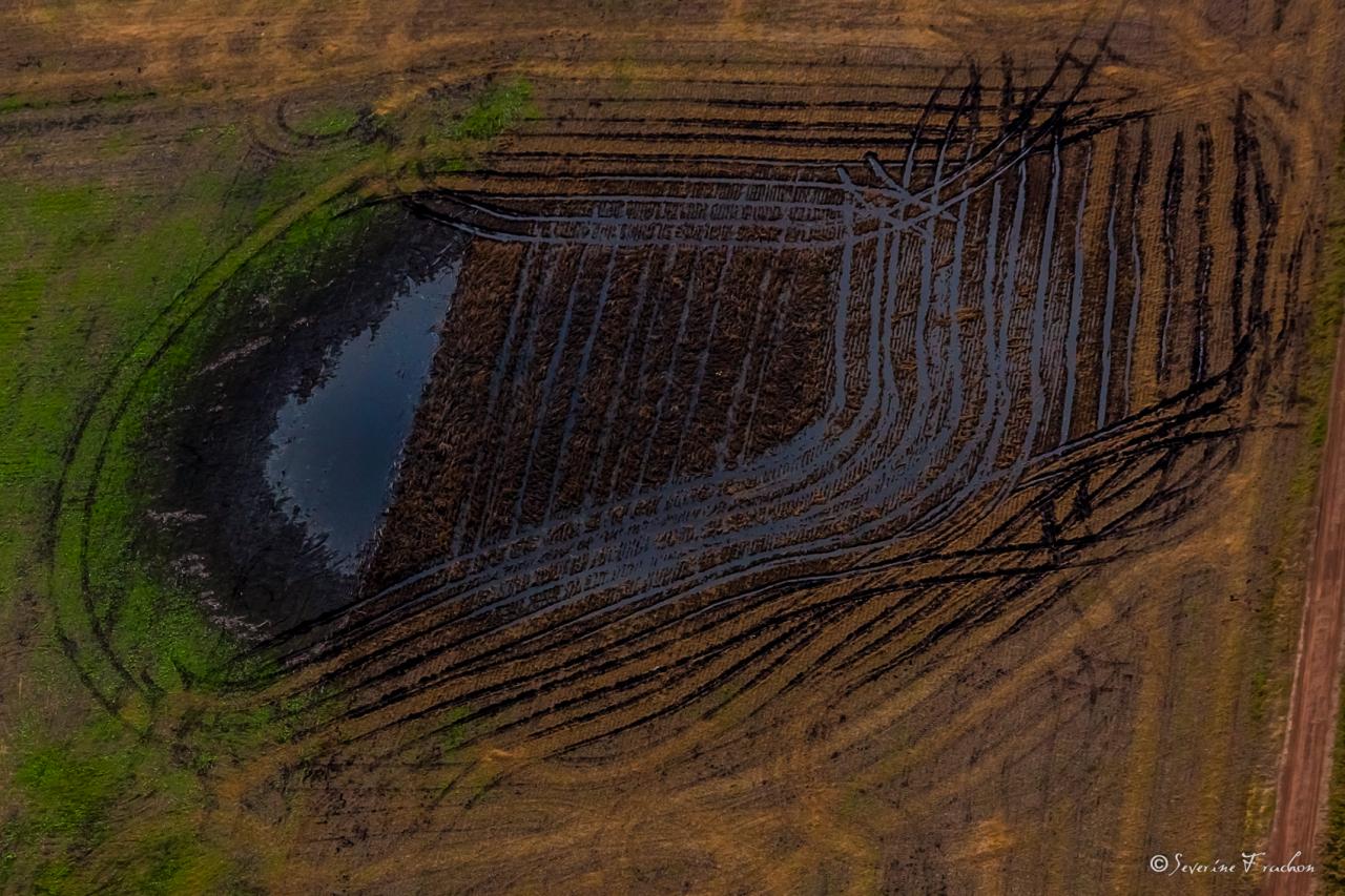 L’œil qui veille, Argentine