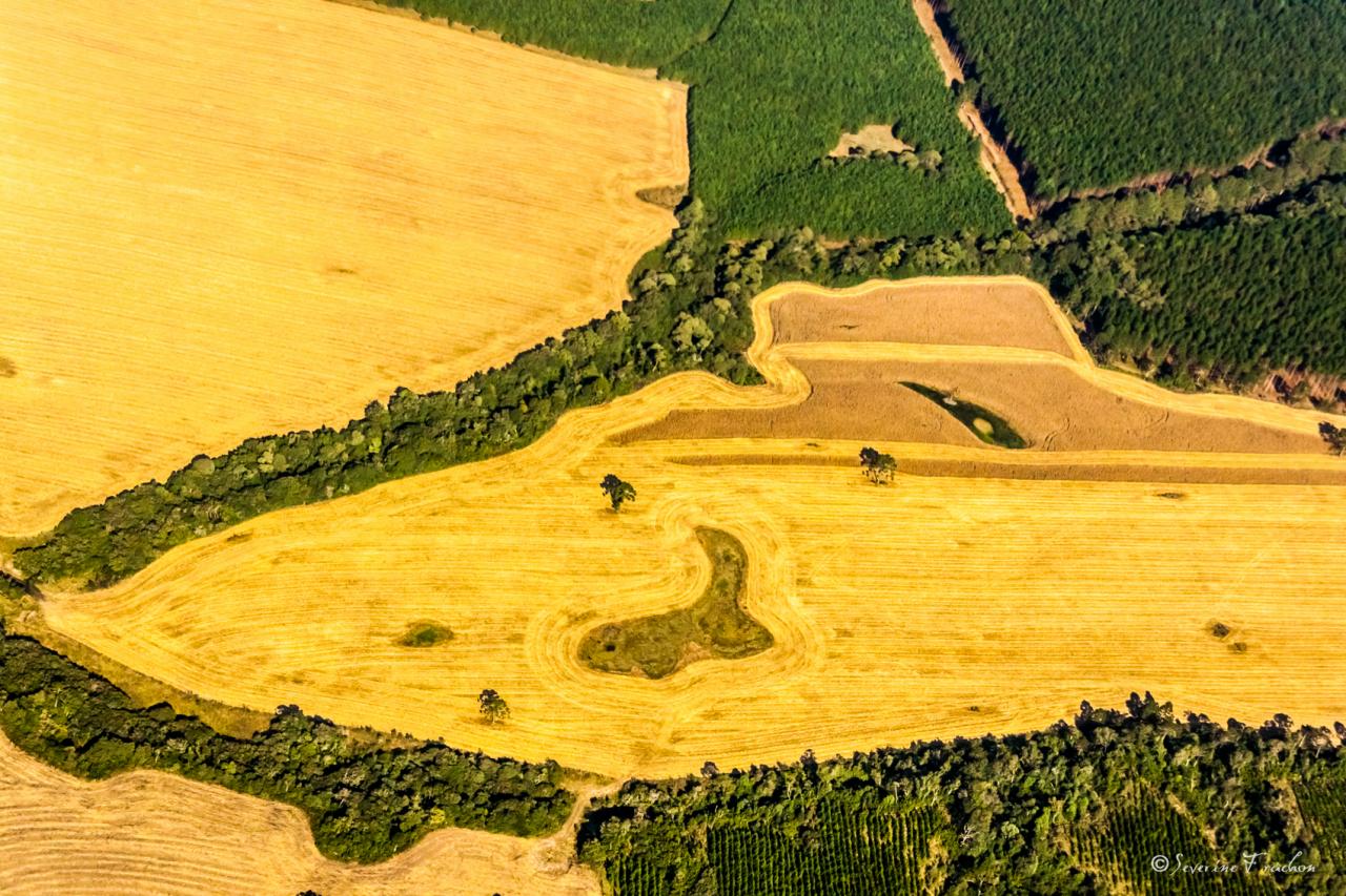 Yellow submarine, Brésil