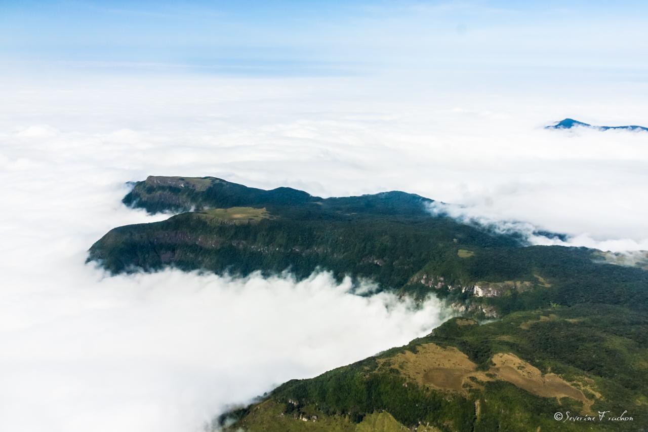 La tête au-dessus des nuages, Brésil