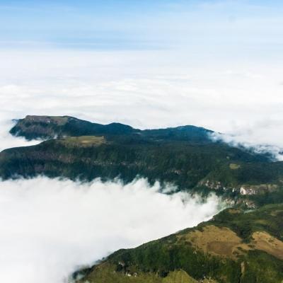 La tête au-dessus des nuages, Brésil