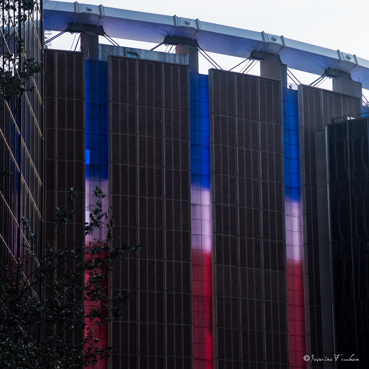 Madison Square Garden