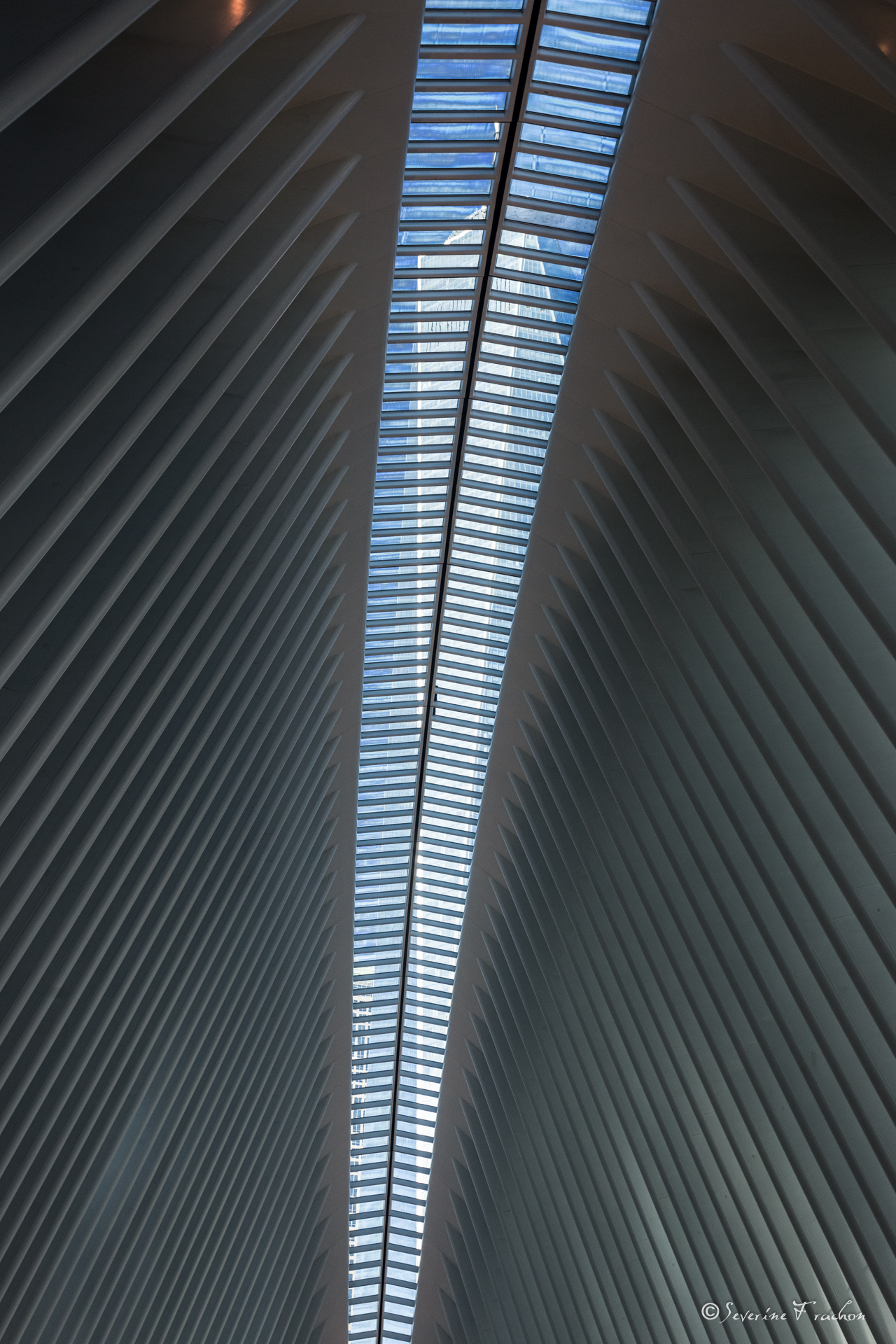 The Oculus Vs One WTC
