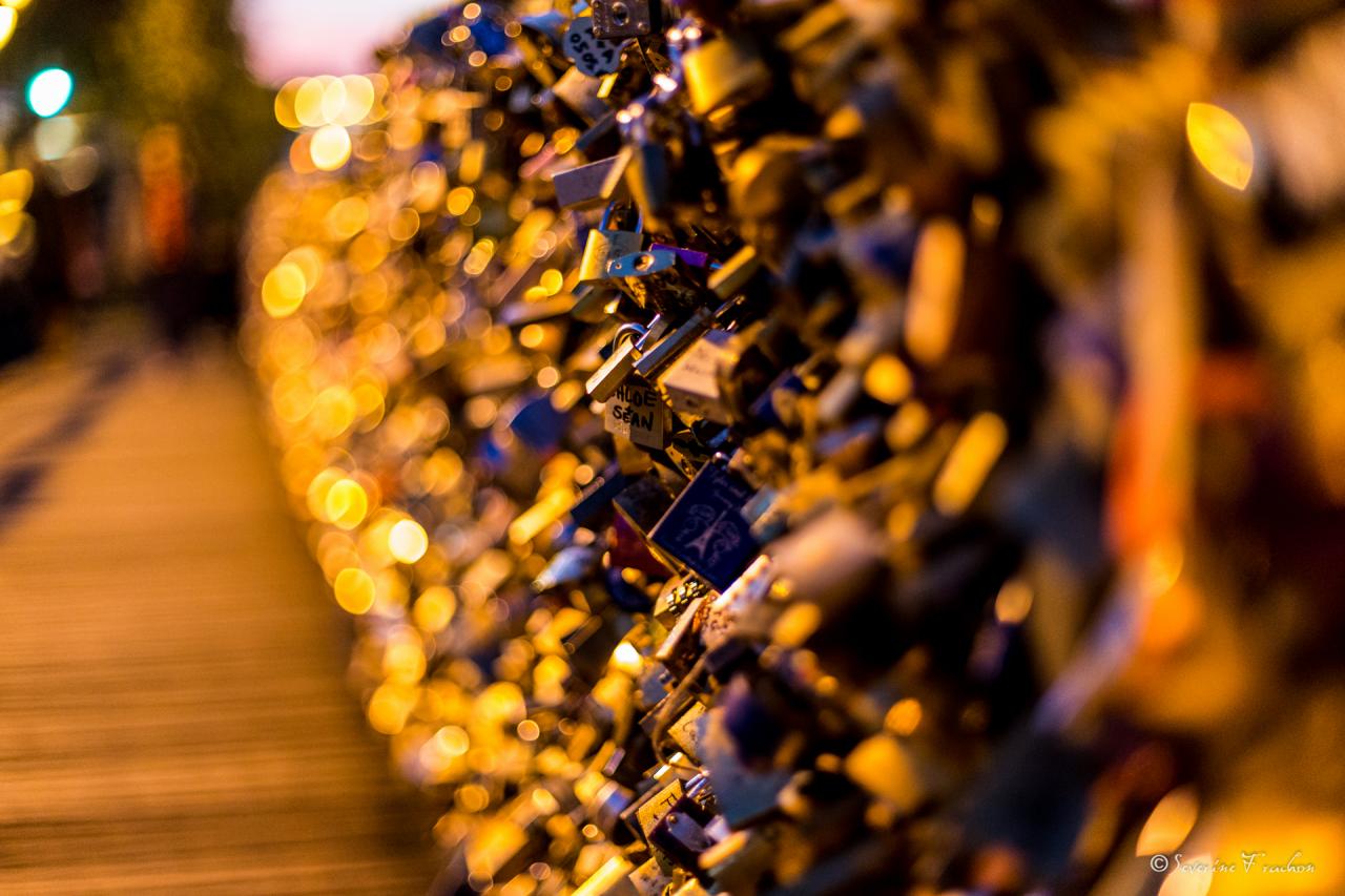 Les amoureux du Pont des Arts