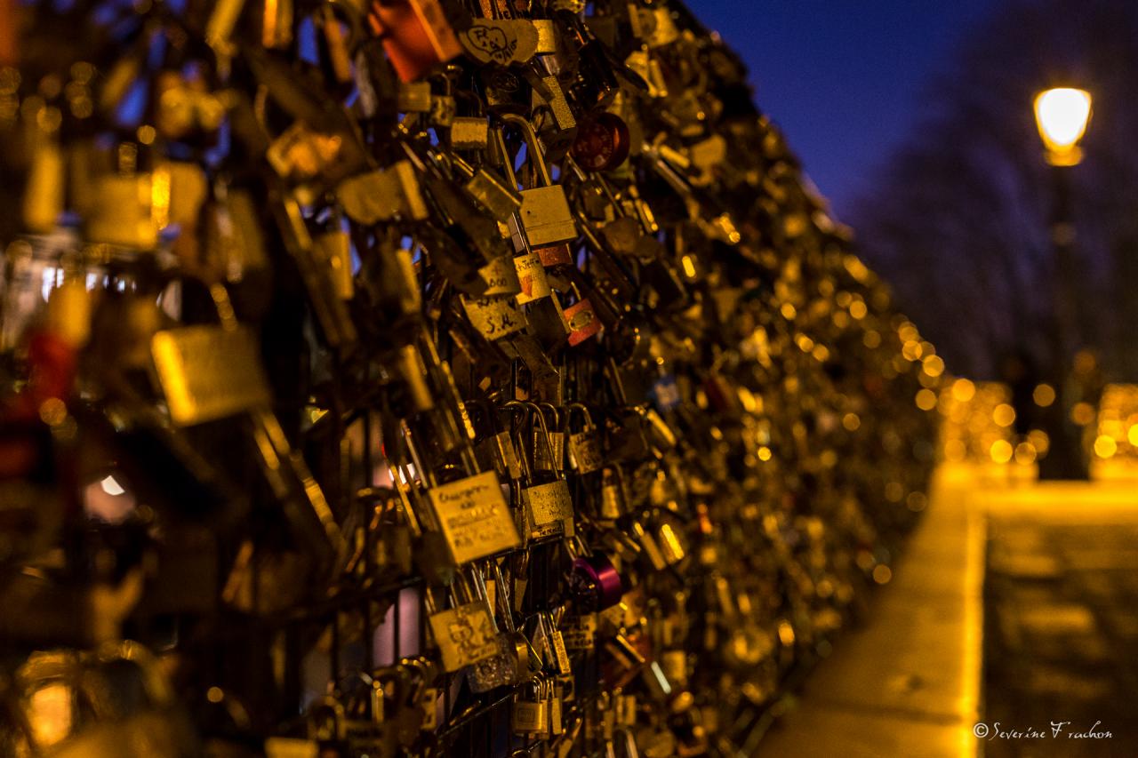 Les amoureux du Pont-Neuf